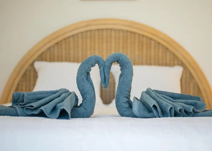 Vue Exceptionnelle * Nizza